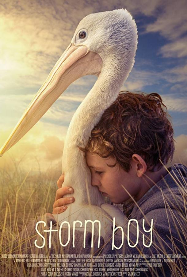 Фильм Штормовой мальчик (2019) смотреть онлайн в HD качестве